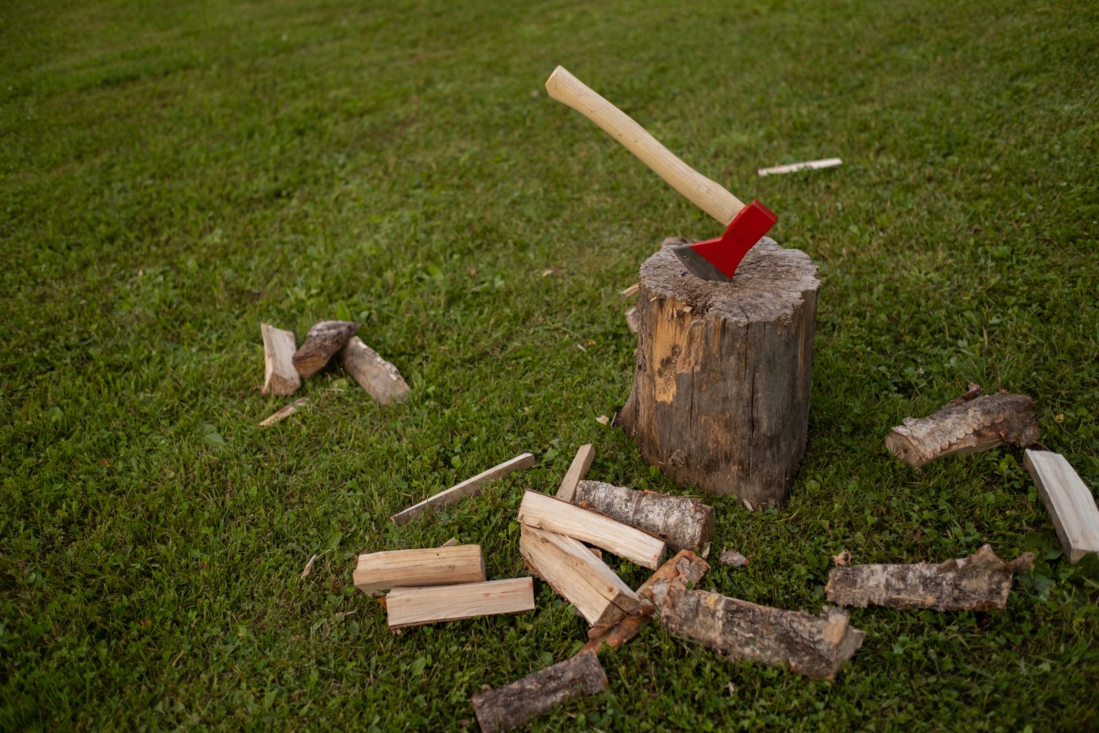 Stump grinding through a garden gate