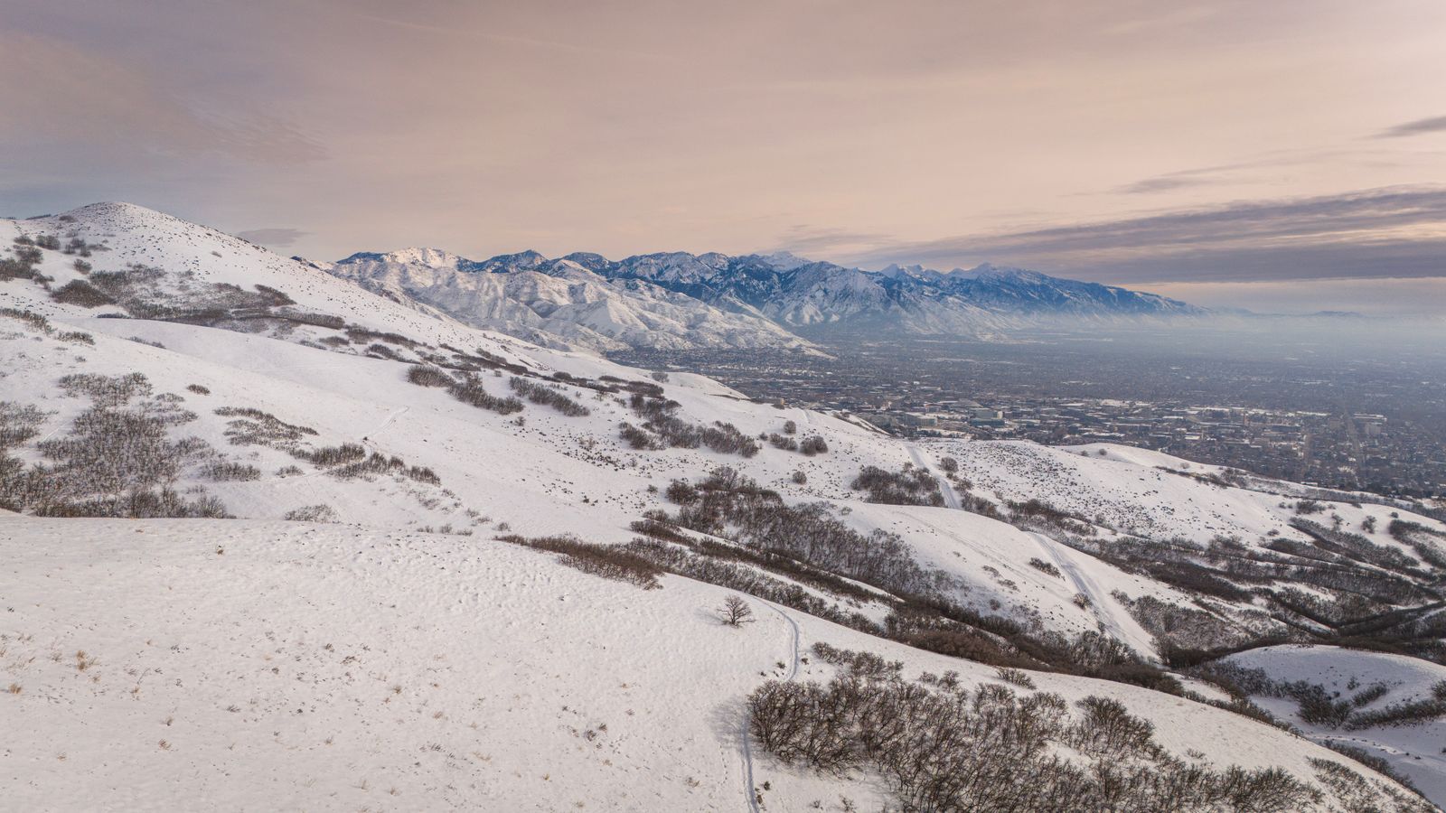 Winter trees in the Blue Ridge landscape