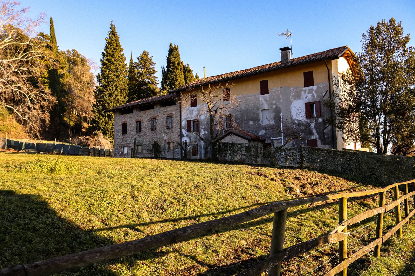 Homes and trees in the Fairview area