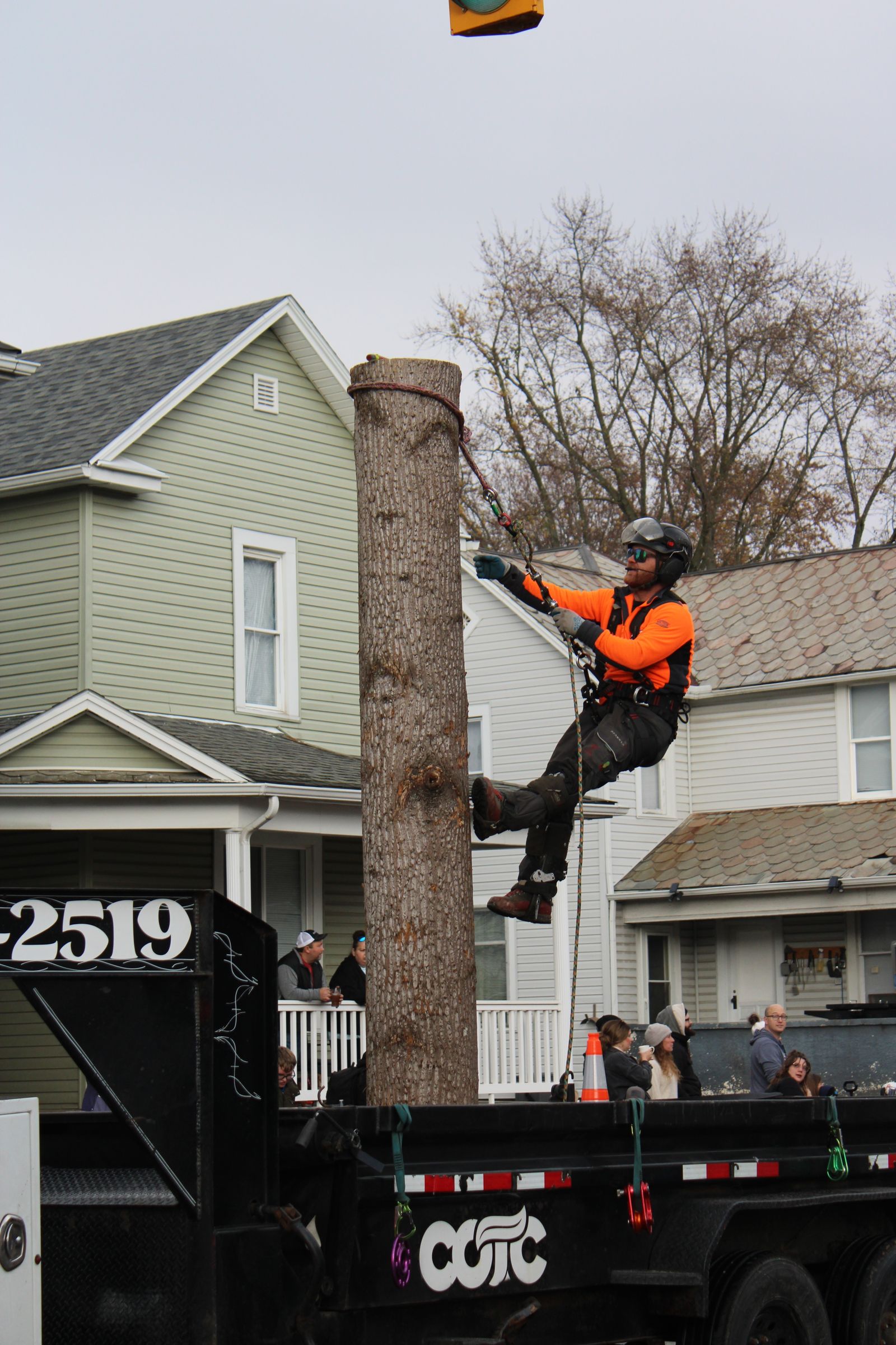 Arborist in a climbing harness working on a tree