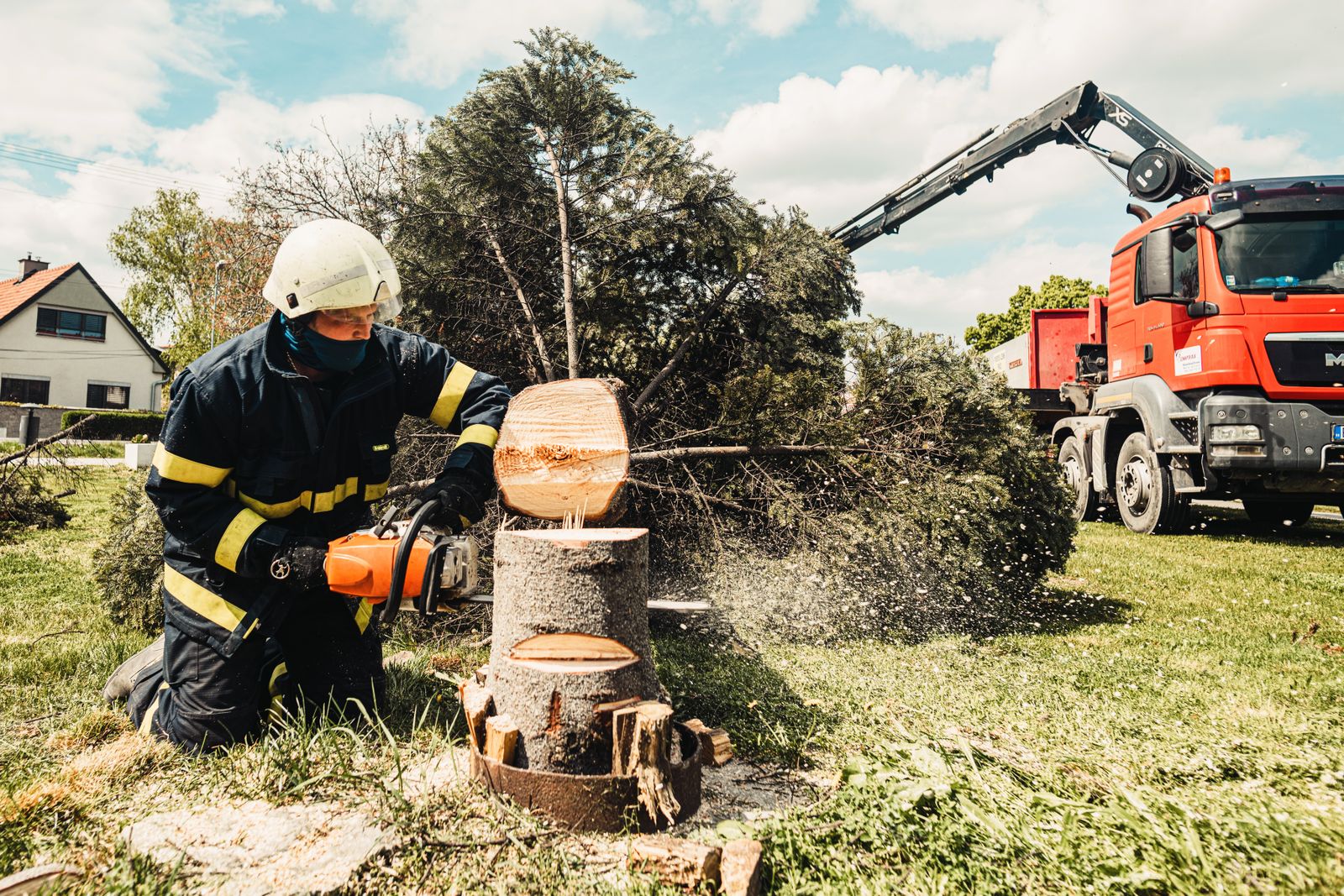 Ash removal and stump grind